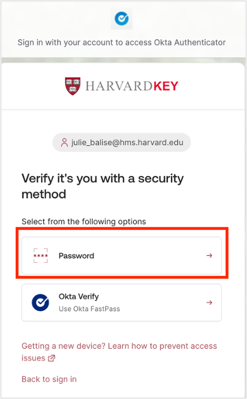 Verify it's you with a security method - Password